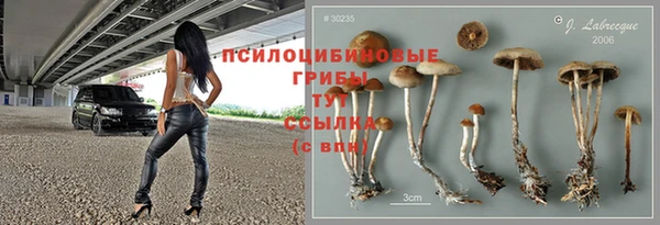 дживик Кулебаки